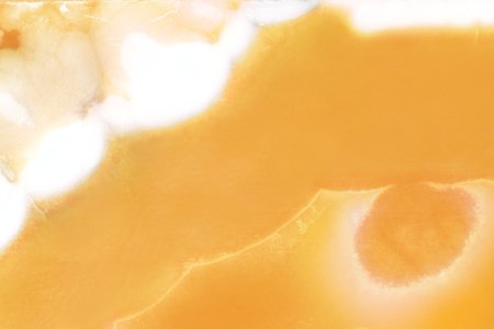 Egyptian Alabaster — marble slab