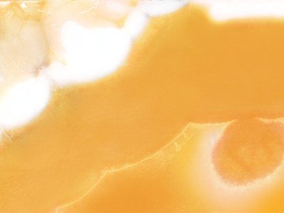 Egyptian Alabaster surface, close up — Egyptian marble