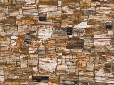 Superficie di Petrified Wood Retro da vicino, pietra semipreziosa