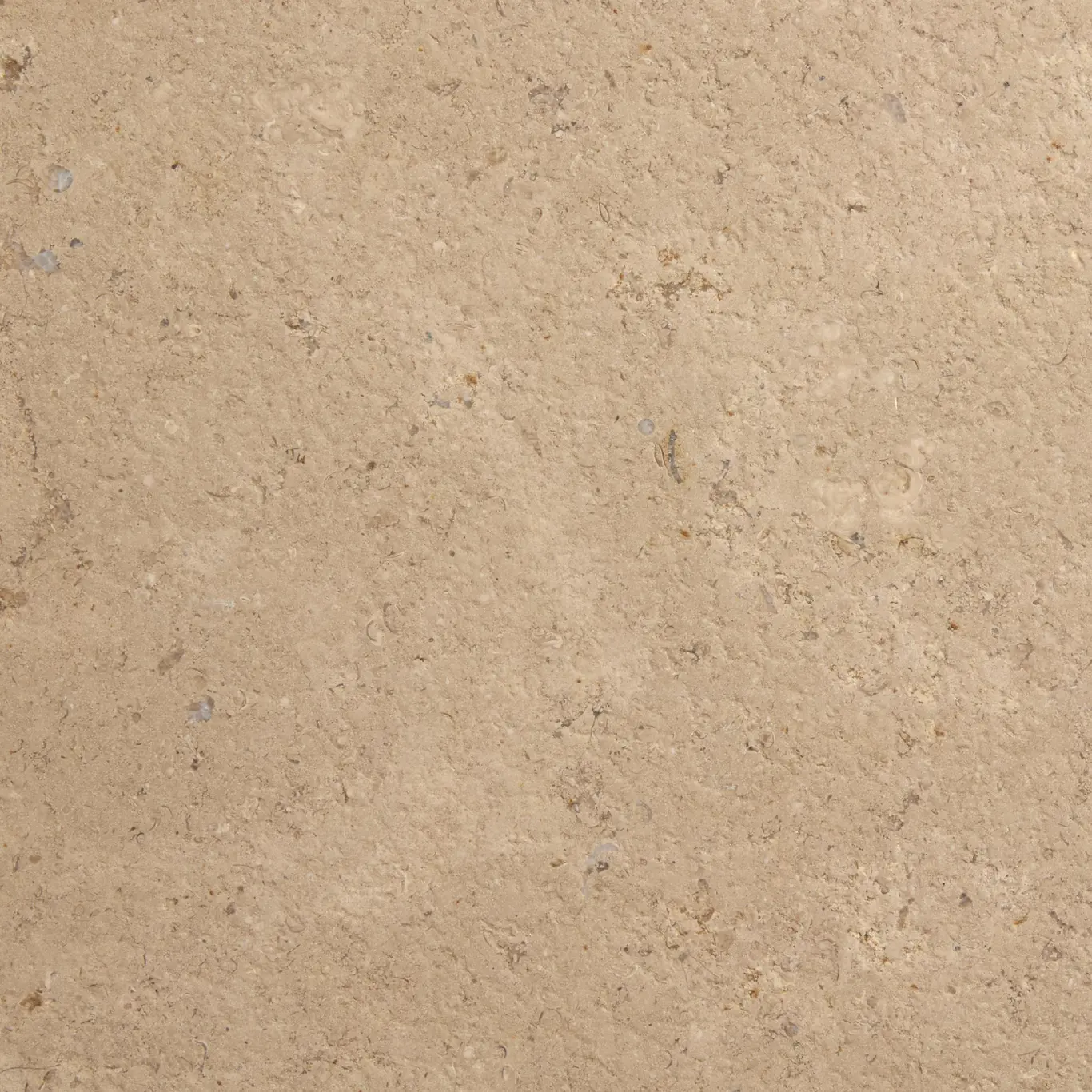 Royal Beige — Egyptian marble slab