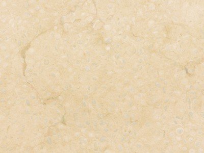 Sunny Medium surface, close up — Egyptian marble